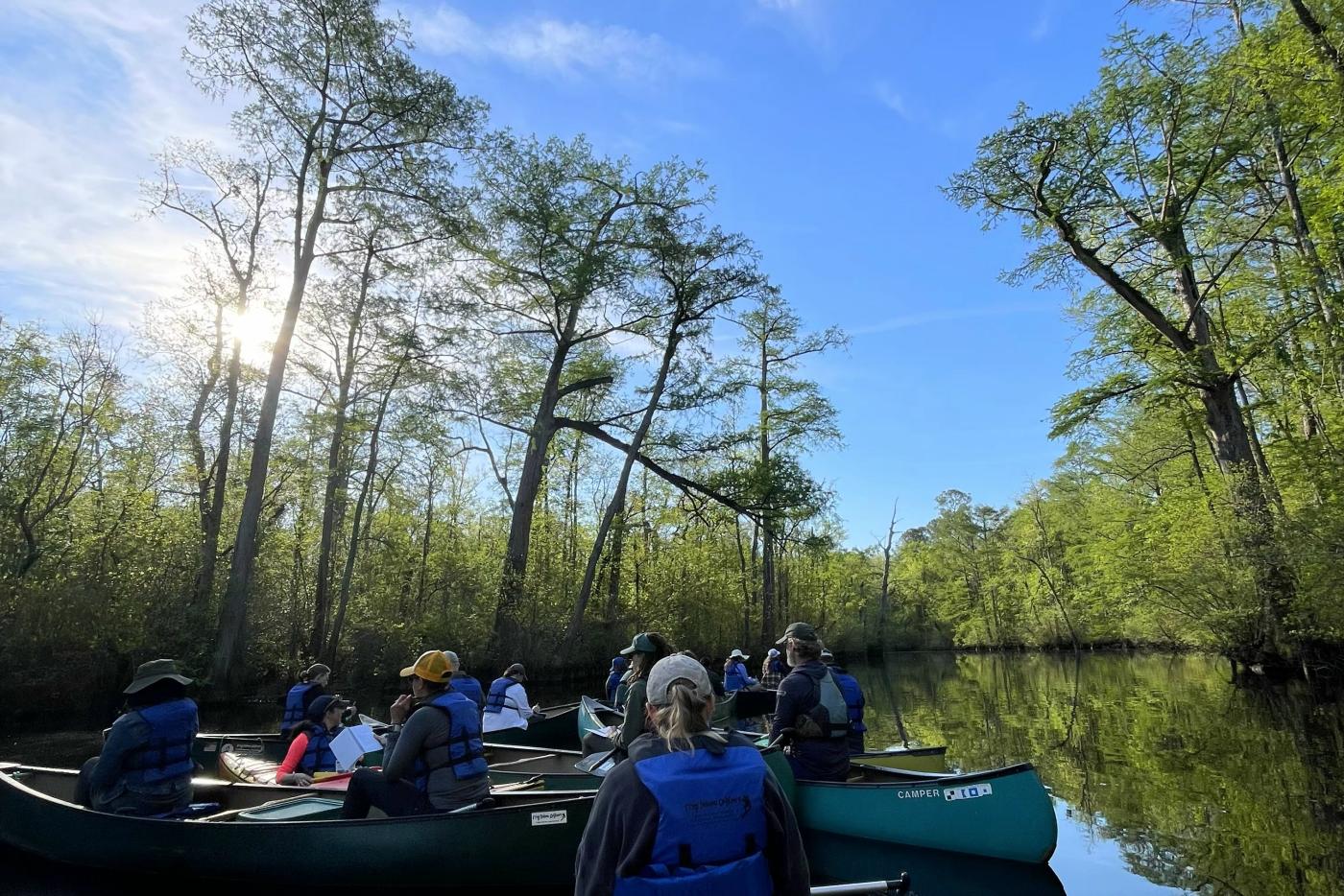 A woman sits in a canoe under blue sky and green trees on a dark river
