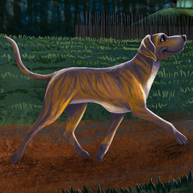 Plott, from Plott's Tales and Trails