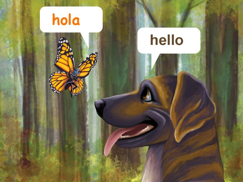 Link, Plott's Tales and Trails