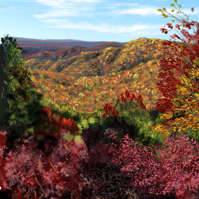 An illustration of Gorges State Park