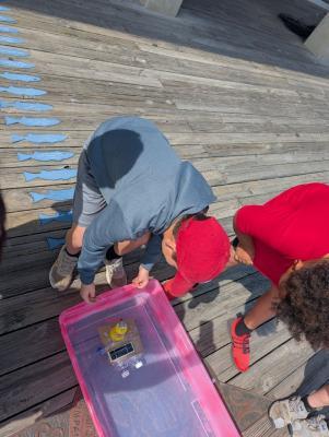 Children look at a pink tub