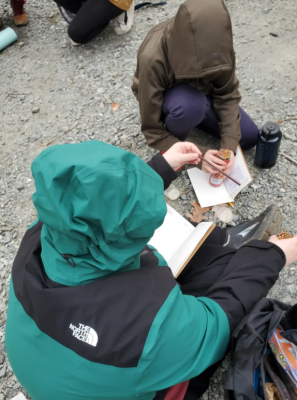 students working in journals at Elk Knob State Park