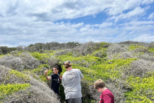 Three students wander through shrubs at the beach