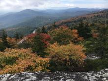 View of hiking trail and autumn leaves from Grandfather Mountain