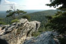 Jutting rock face and tree at Hanging Rock State Park