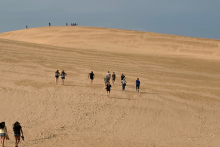 Visitors walk in groups to the top of the largest North Carolina Sand Dune - Jockey's Ridge