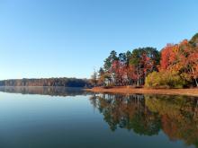 Autumnal tree change at Kerr Lake with blue sky 