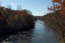A river runs through a forest during Autumn, with small rapids