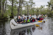 Teachers and students paddle through a cypress swamp in a white canoe