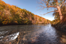 River with leafless tree on right bank and autumnal forest on left bank