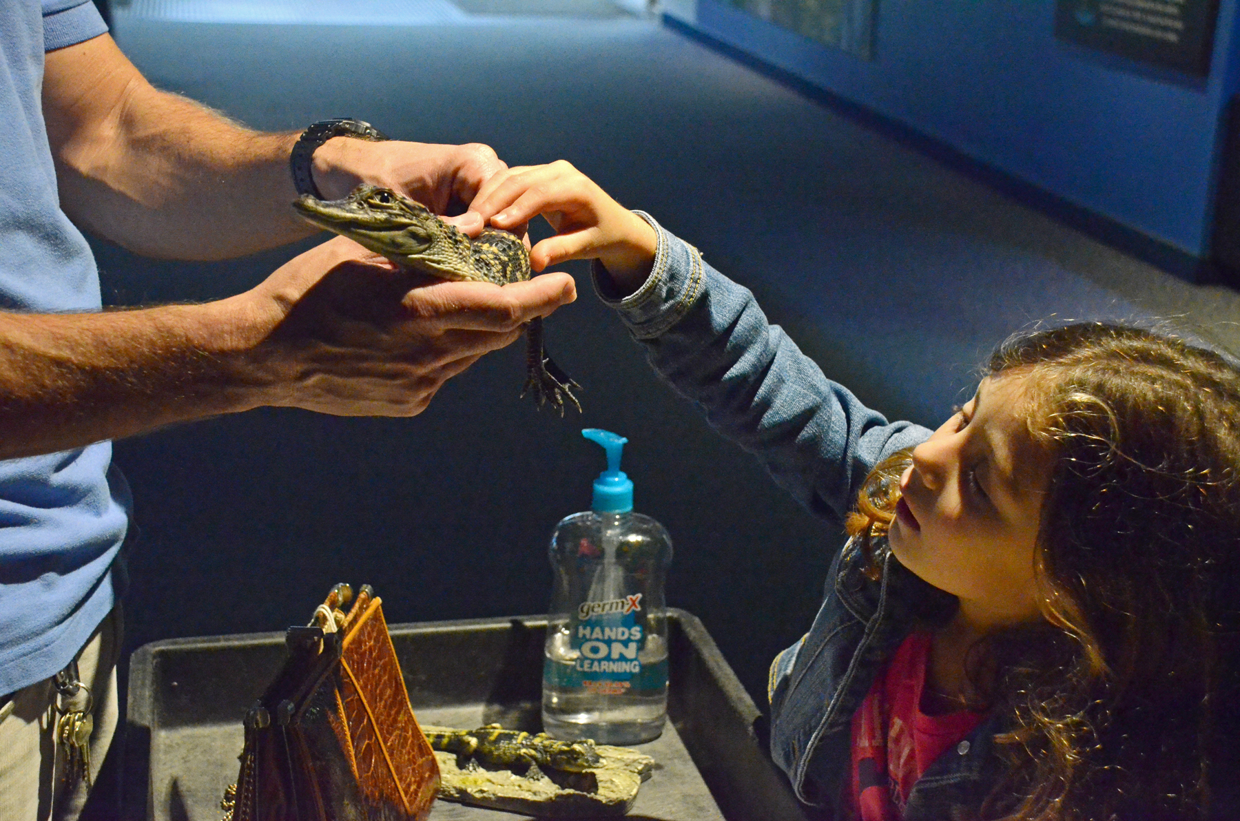 Title I Schools Receive 69,000 in Grants for Aquarium Scholars NC DNCR