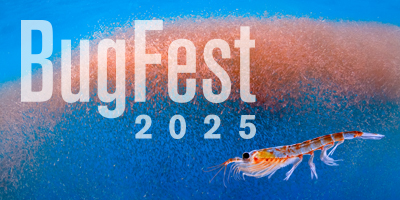 The Krill Isn’t Gone, It’s the Star of This Year’s BugFest Sept. 20 ...