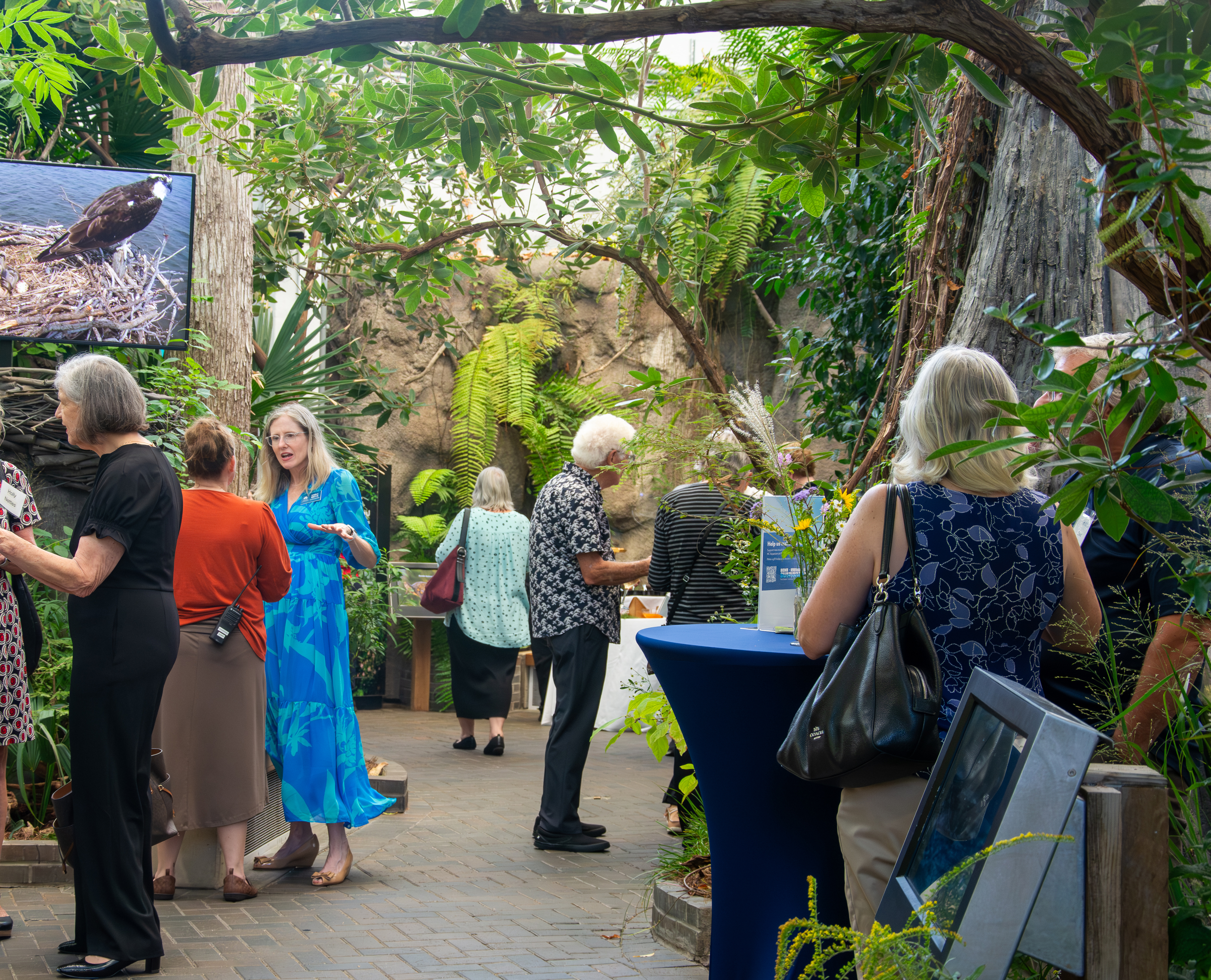 Sealebrating 50 Years at the North Carolina Aquarium on Roanoke Island