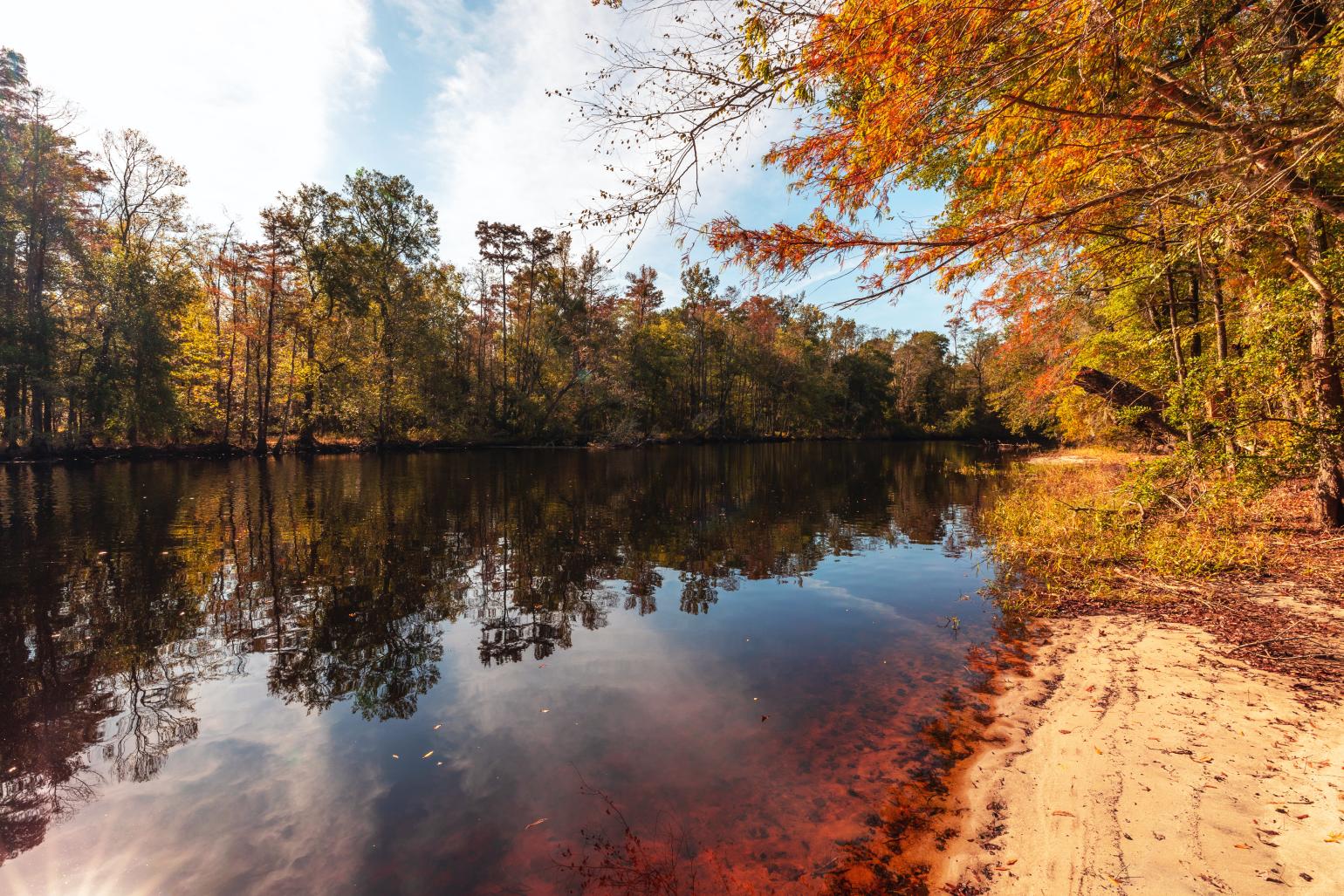 Black water river in the foreground with a tree-lined riverbank in the background.