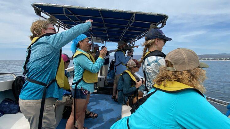 Teachers watch whales from a boat.