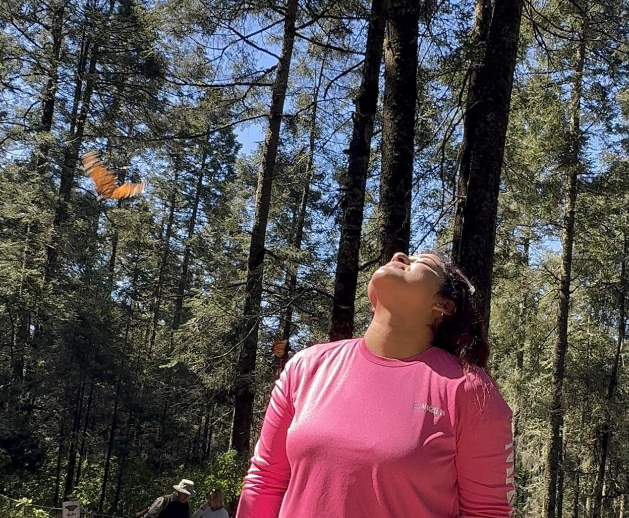 A teacher watches the monarchs in Mexico.