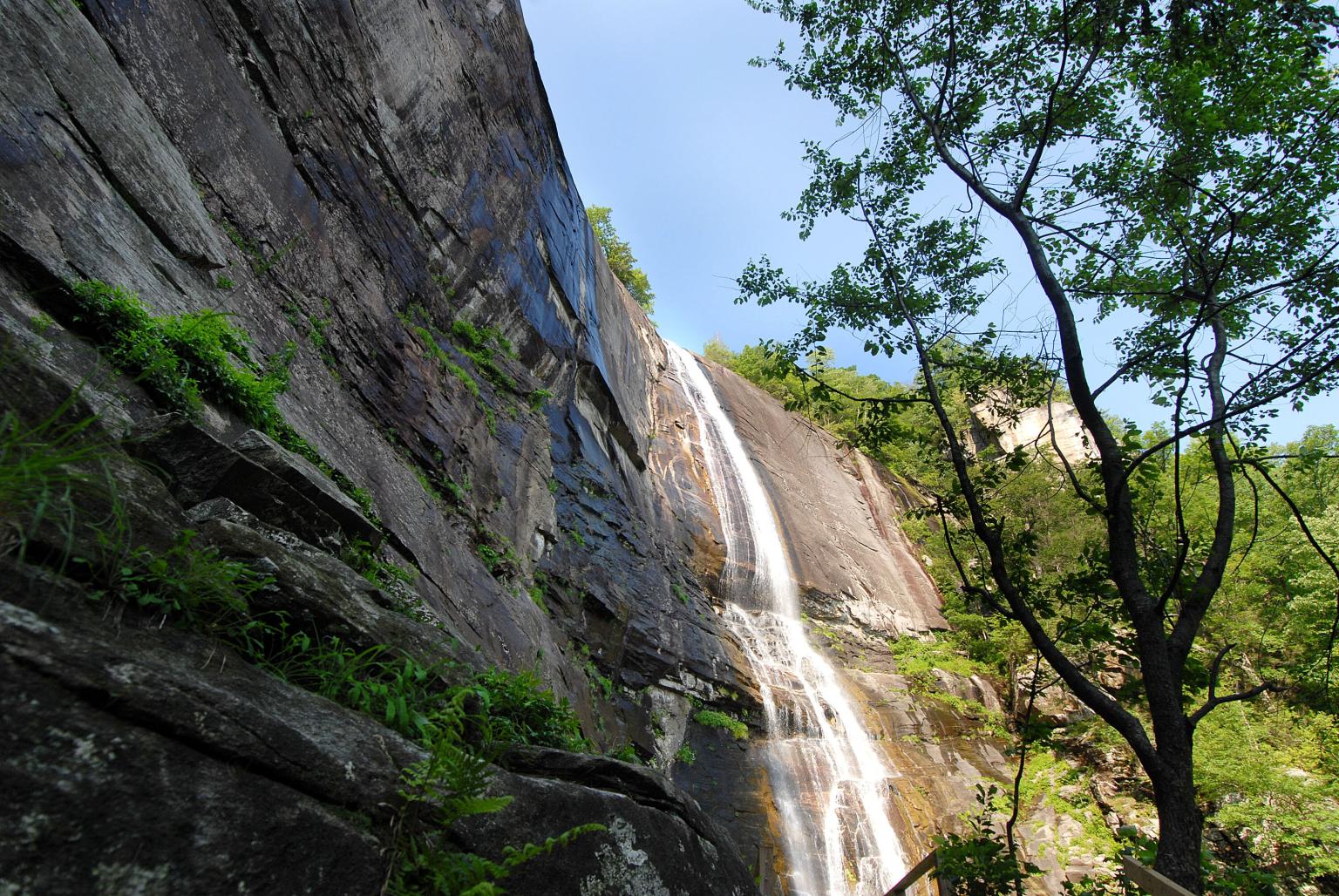 A waterfall cascades over a tall rock face with green trees and other vegetation on the rocks.