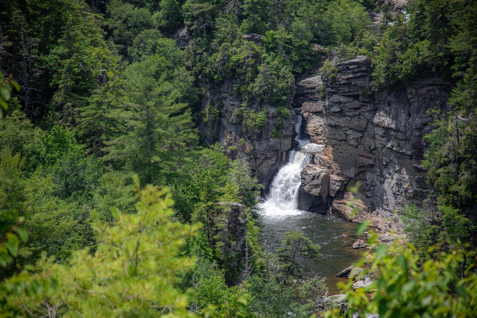 A waterfall rushes over tall rocks into a gorge below with green trees surrounding it. 