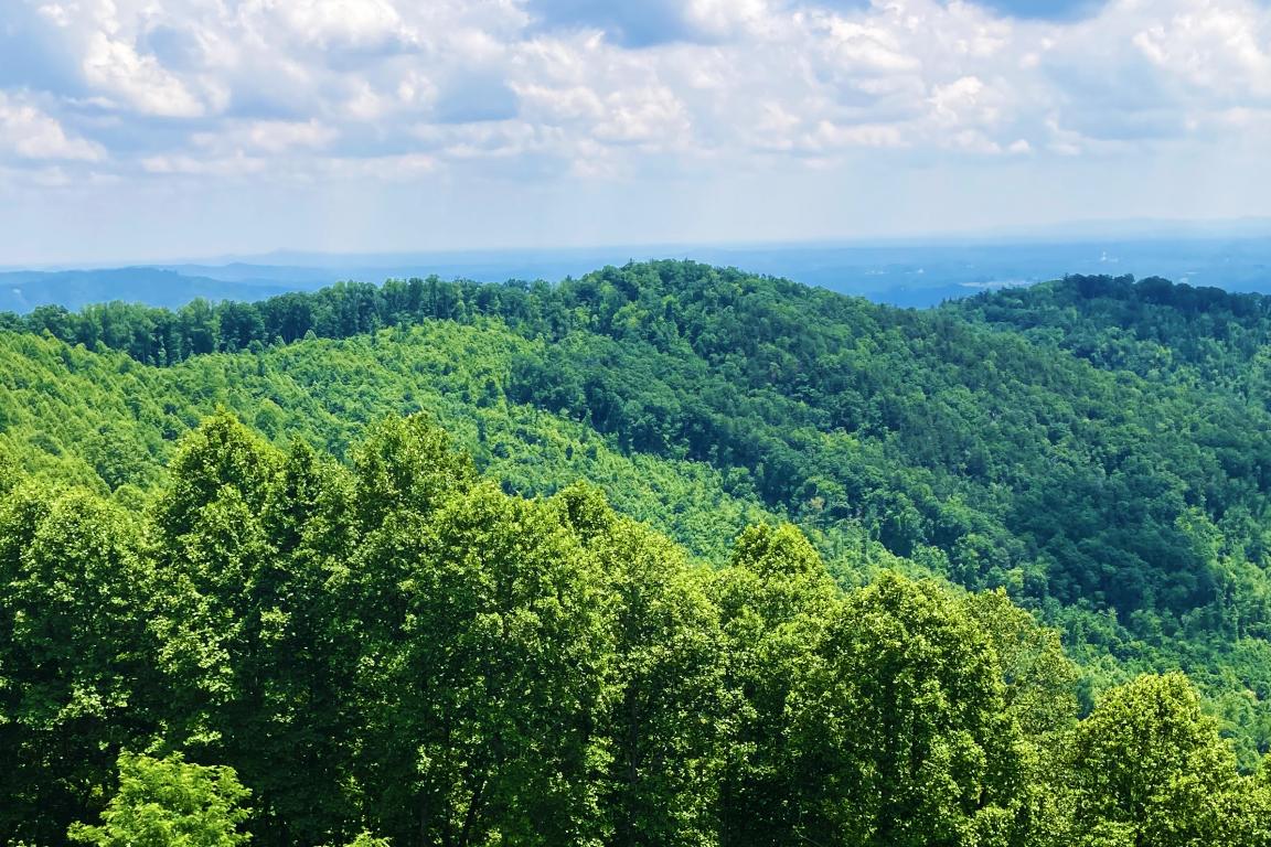 Rendezvous Mountain State Park
