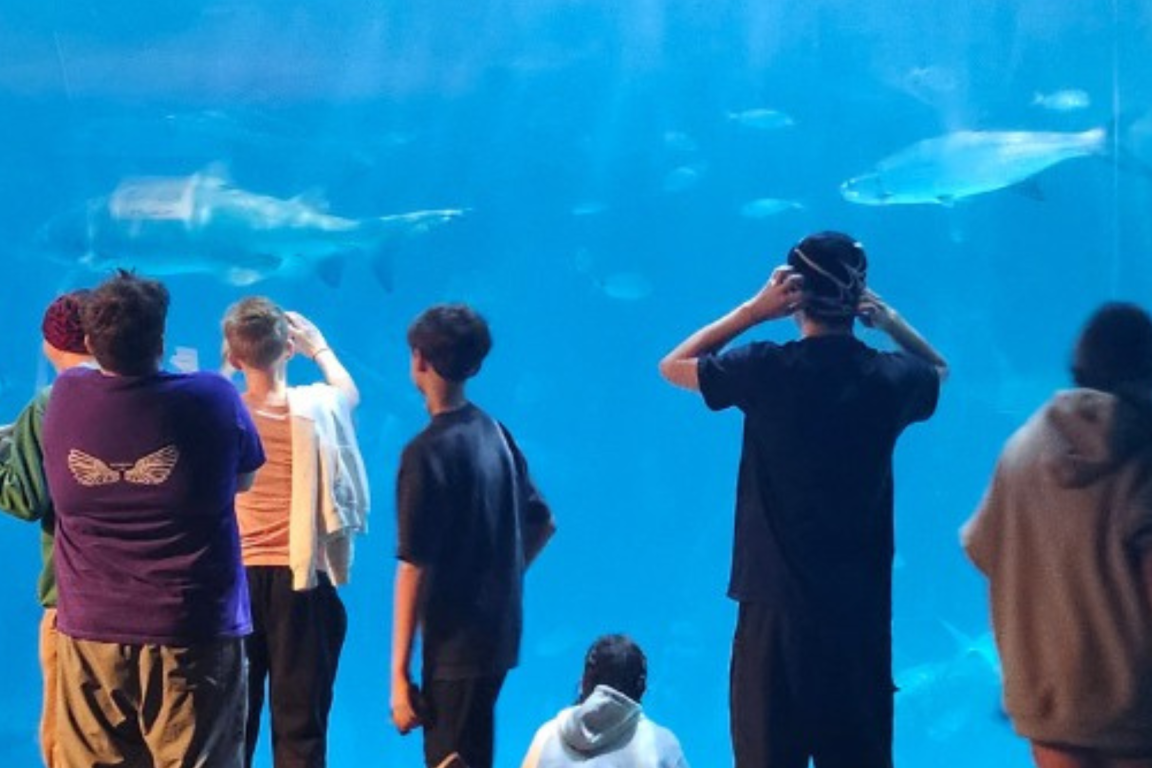 Students stand in front of aquarium tank looking at fish