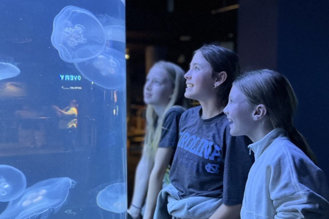 Three students observe jellyfish in a tank