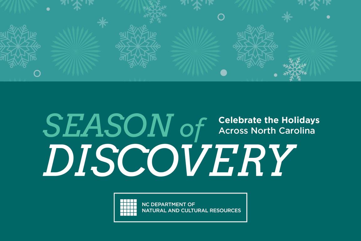 Illustrated snowflakes of different shapes and sizes fall over a green background