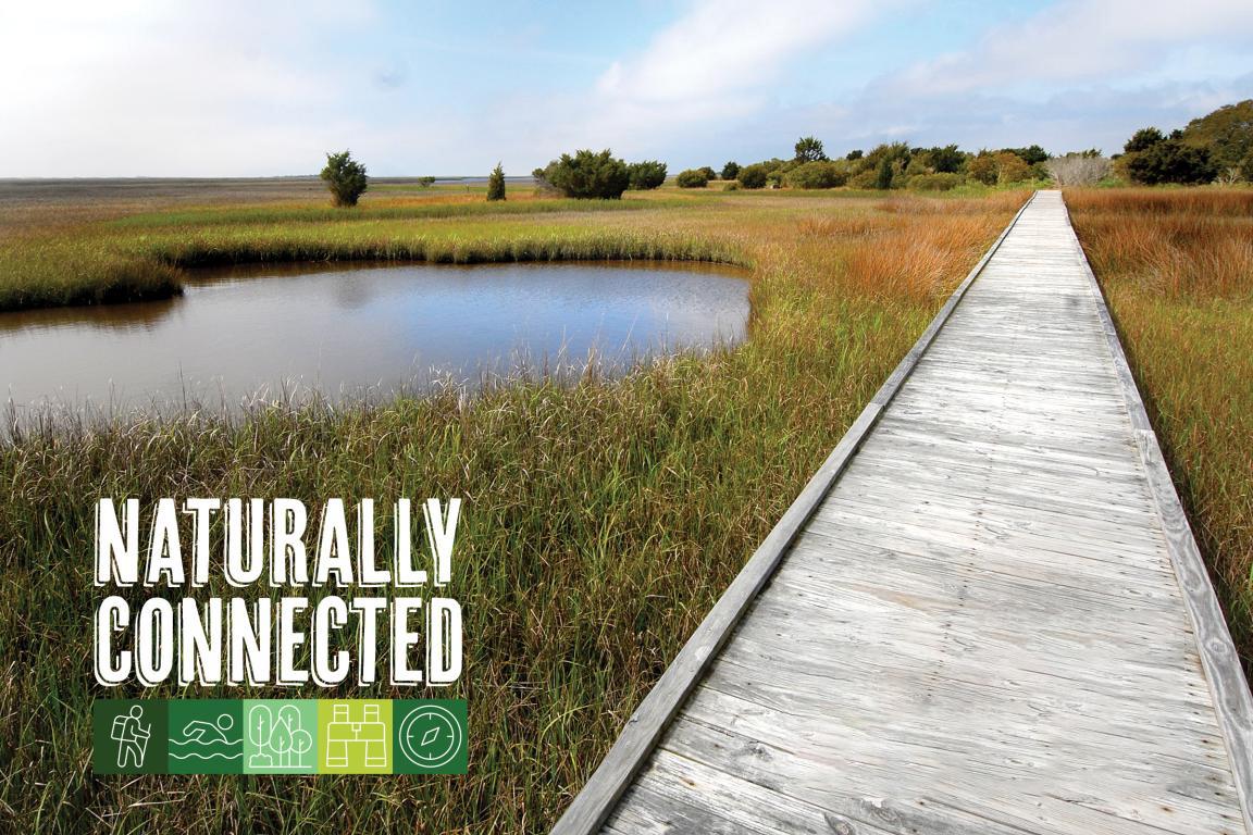accessible plank hiking trail over a wetland park