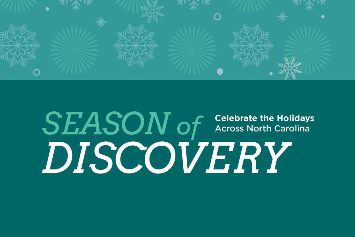 Illustrated snowflakes of different shapes and sizes fall over a green background