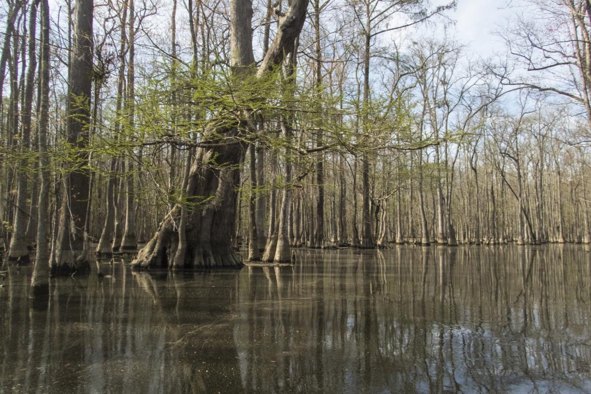 Link, Rivers and Resistance Program