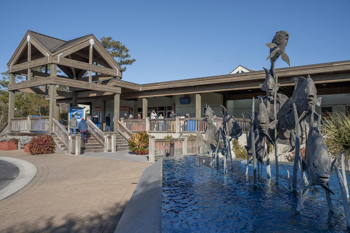 Aquarium at Pine Knoll Shores Celebrates 50 Years July 11 with Two Events