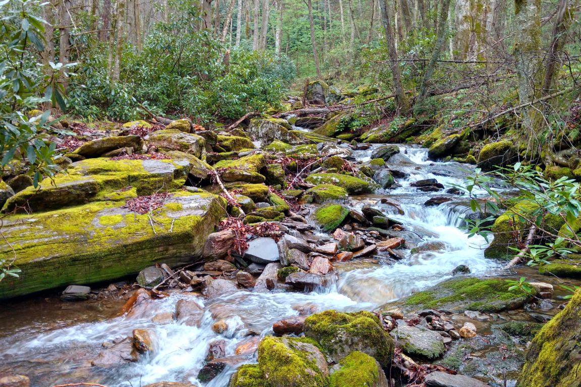 A stream of water flowing over rocks in the woods.