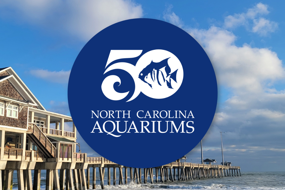 NC Aquariums 50th Anniversary Thumbnail