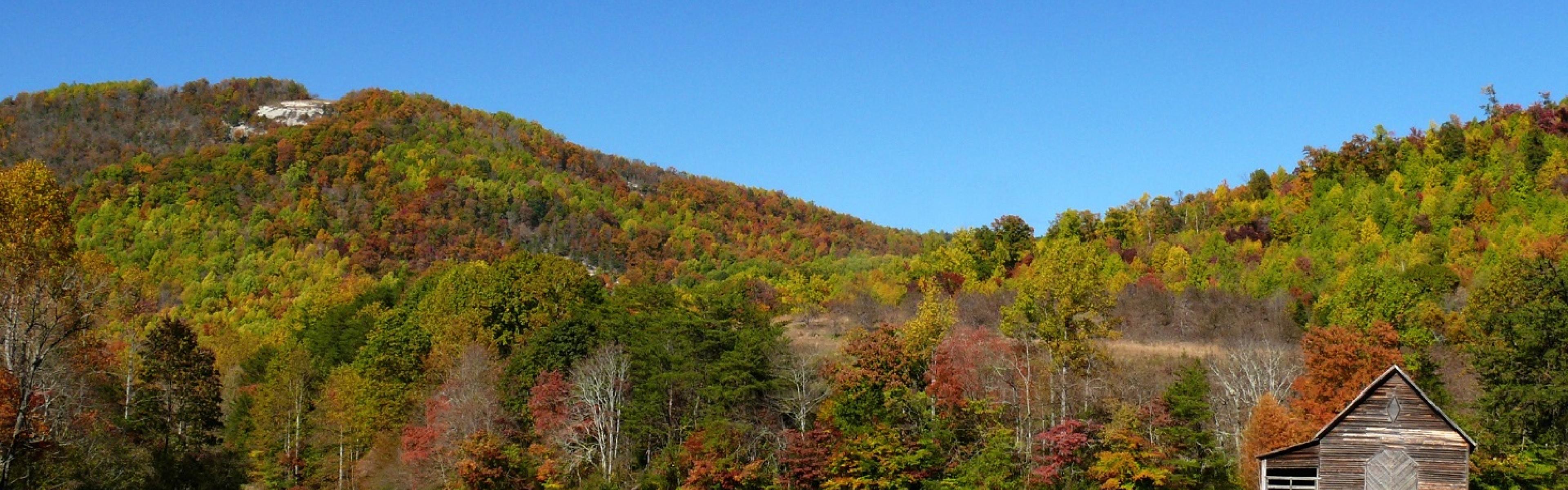 Brushy Mountains