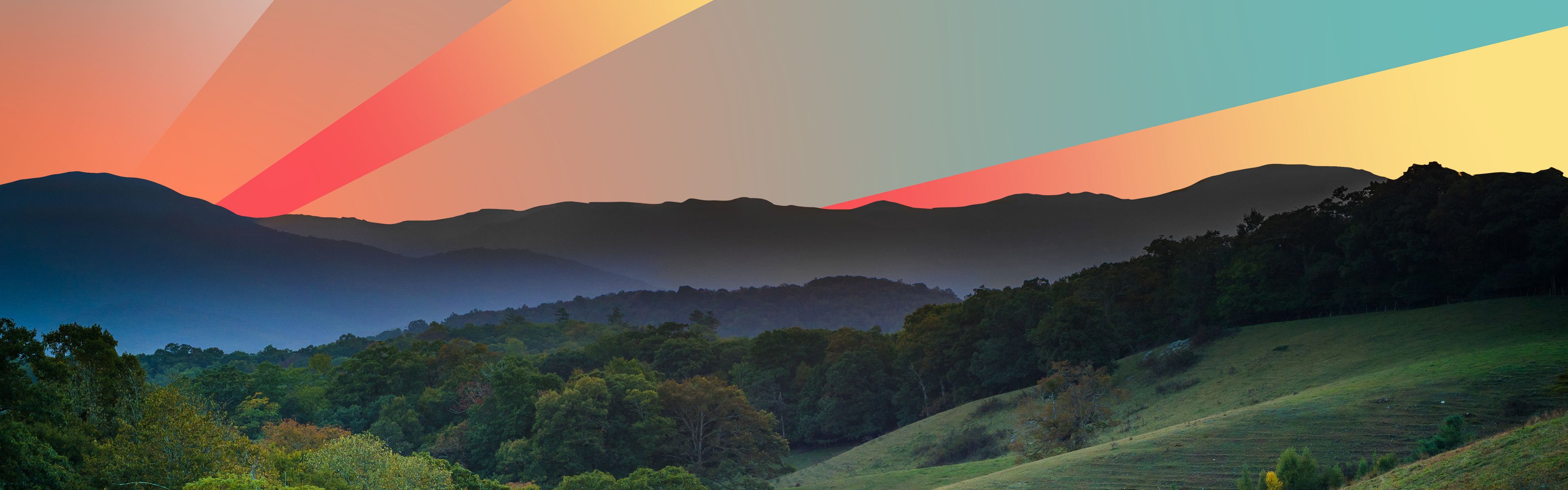 Discover rural NC