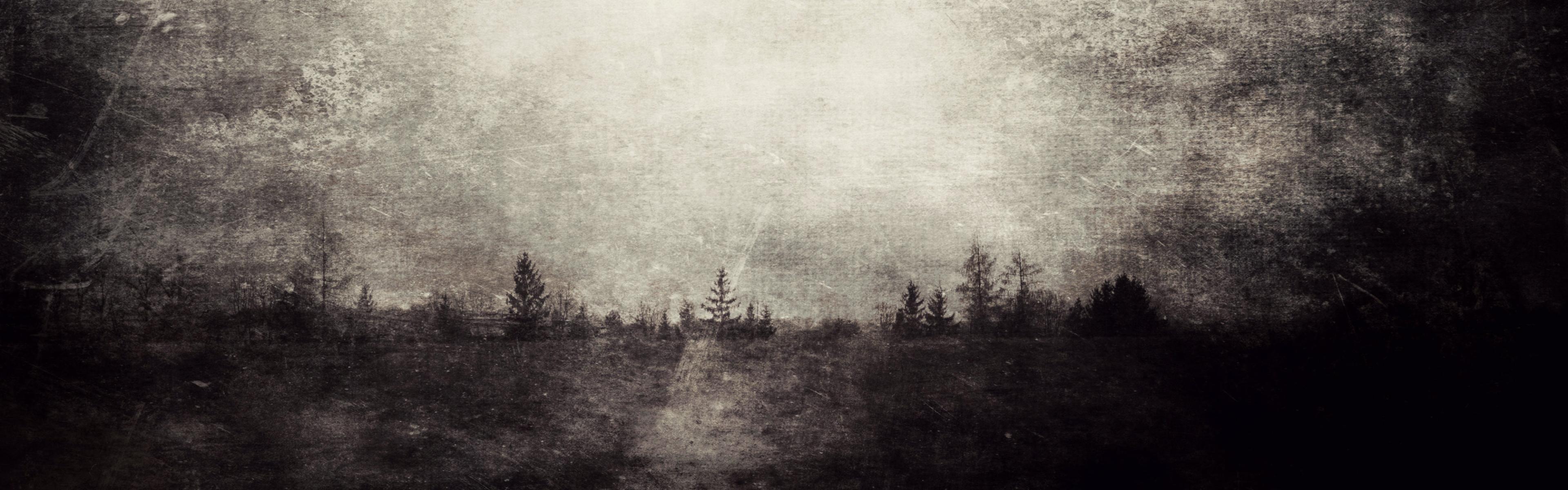 distressed vintage image of trees on a horizon