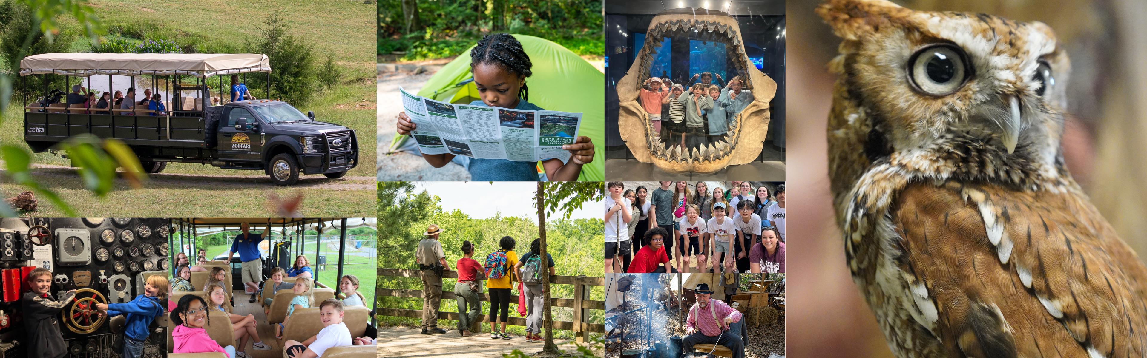 Lifelong Learning at DNCR Carousel 