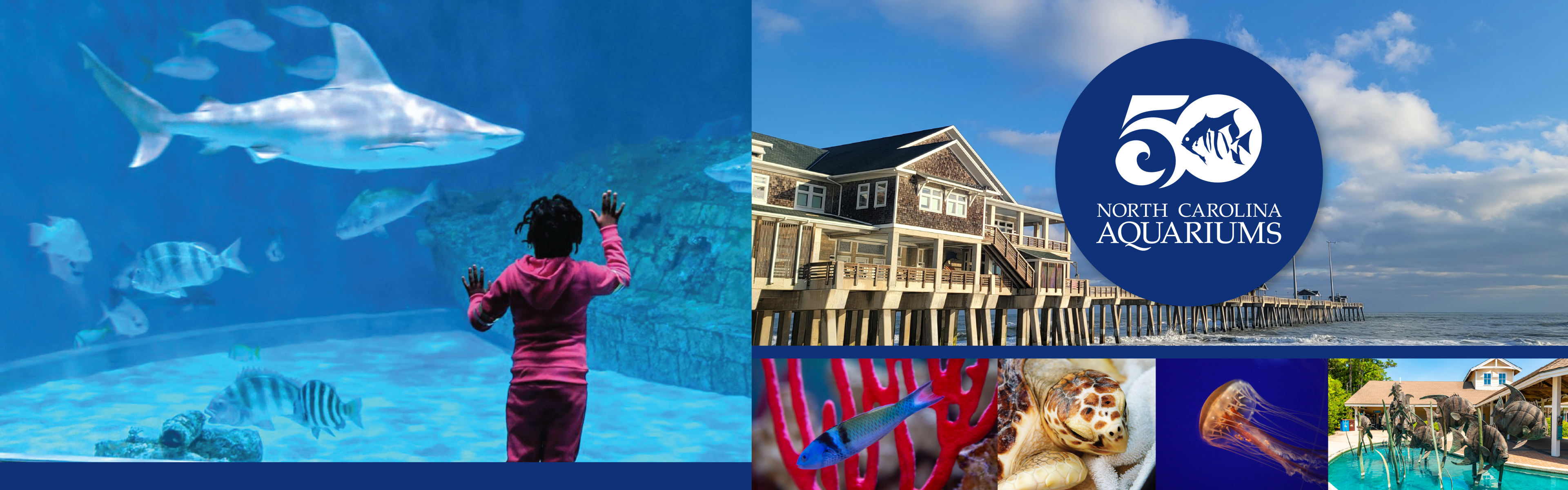 50 Years of NC Aquariums