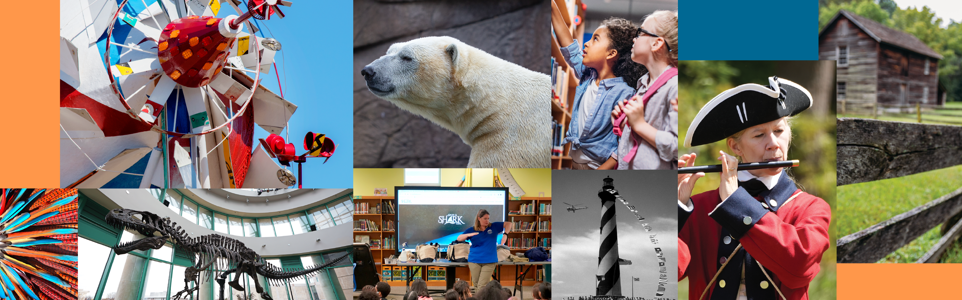collage of DNCR offerings -art, zoo animals, kids, history and exhibits