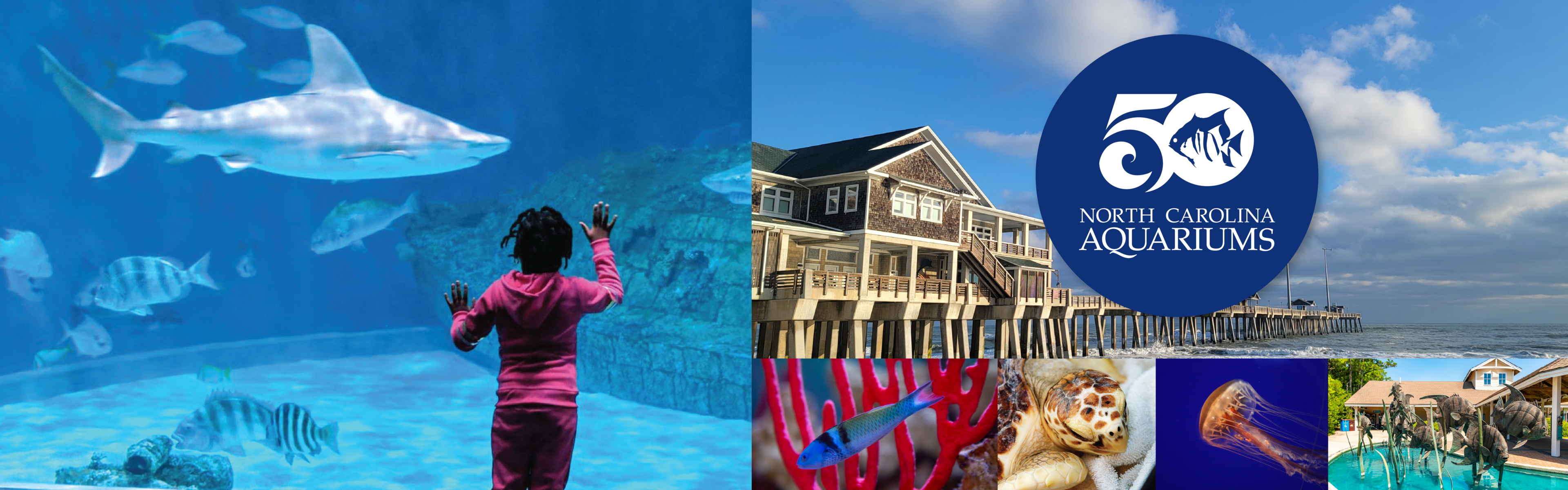 NC Aquarium's 50th Anniversary Banner