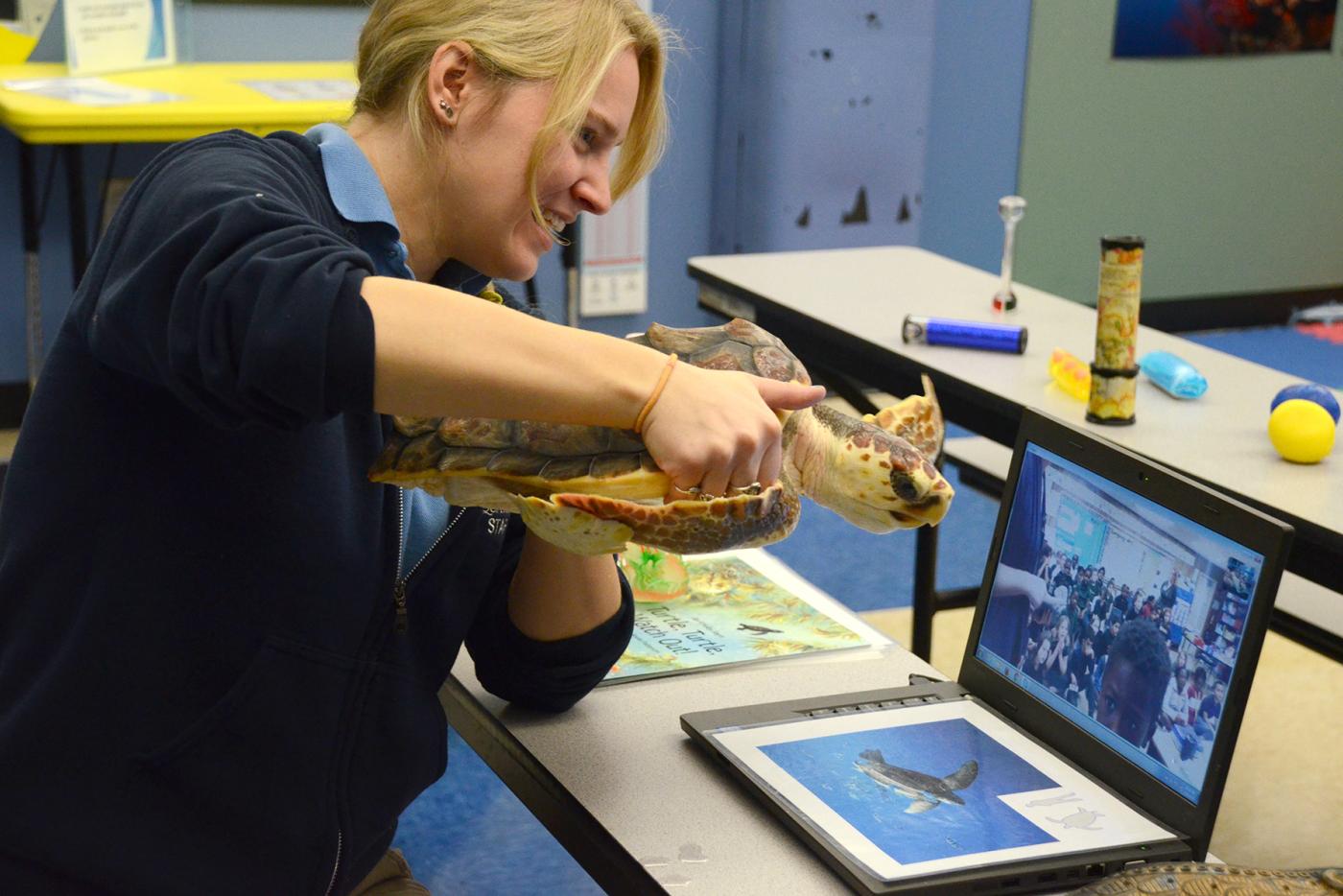 A person holding up a sea turtle to a computer screen.