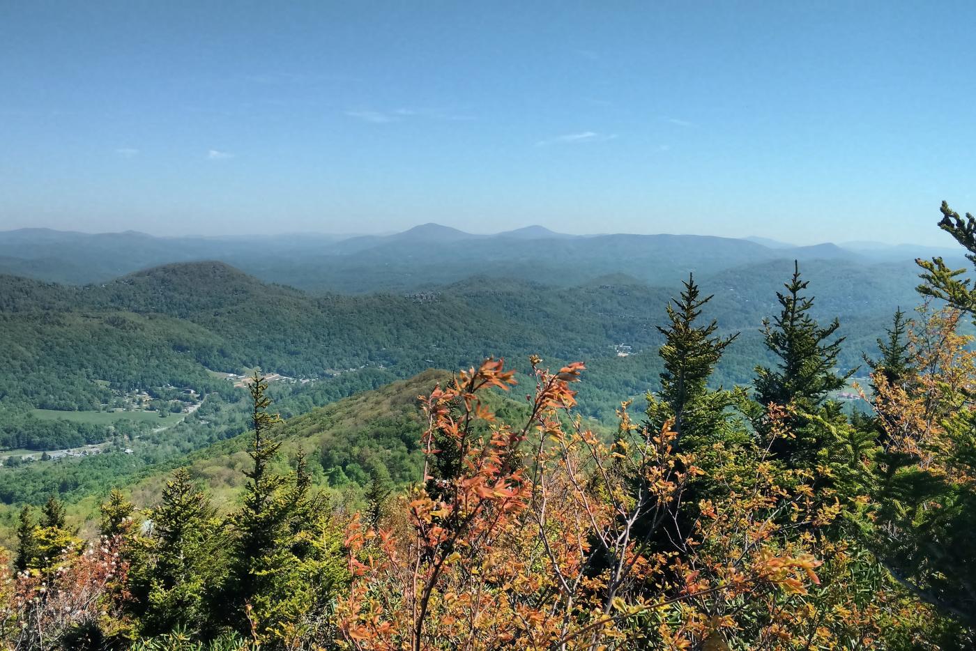 A view of a large valley of trees