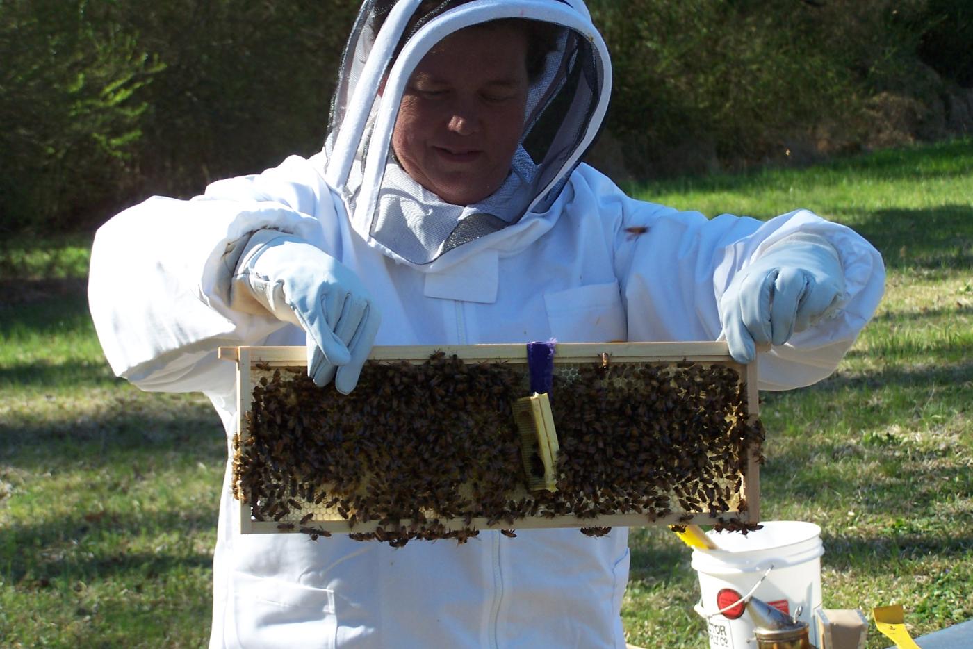 A beekeeper holding a large collection of bees.