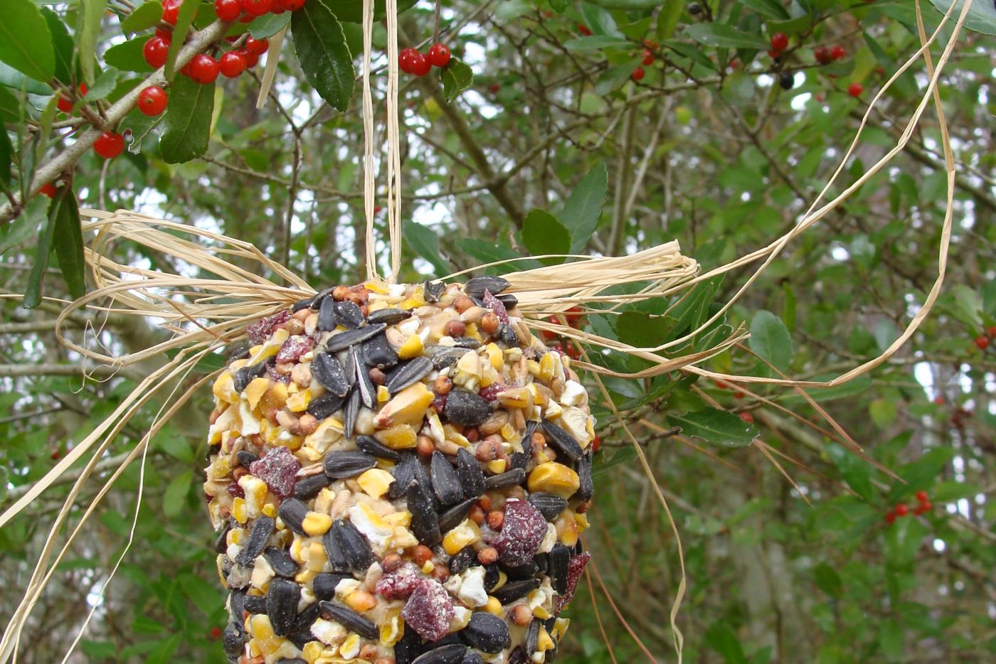 A Christmas decoration made for birds.