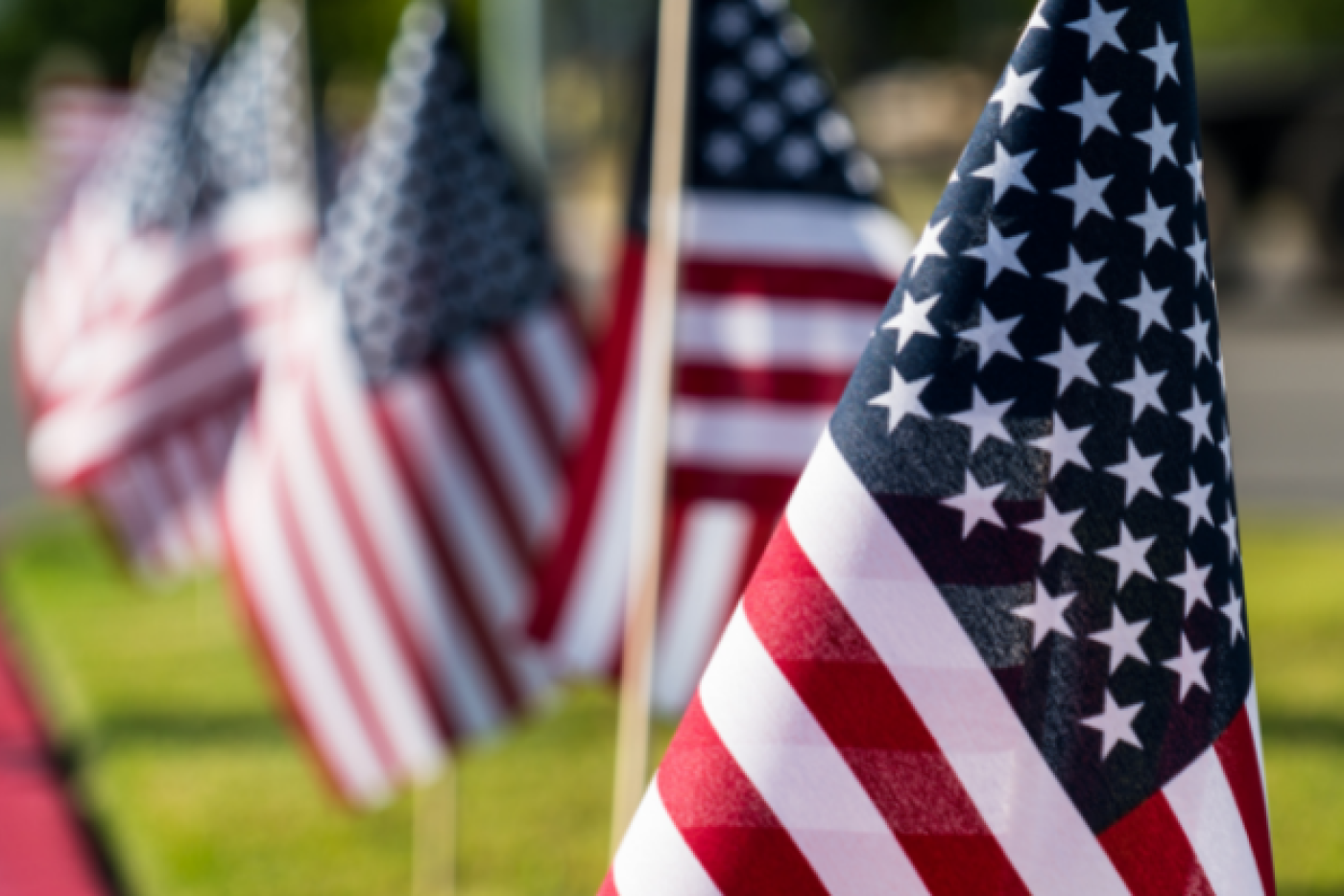 A lineup of small American flags.