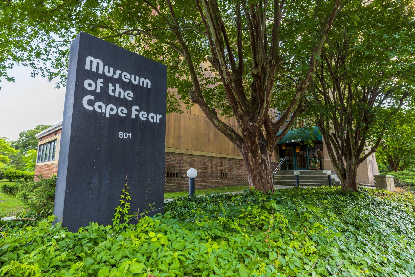 Cape Fear Museum
