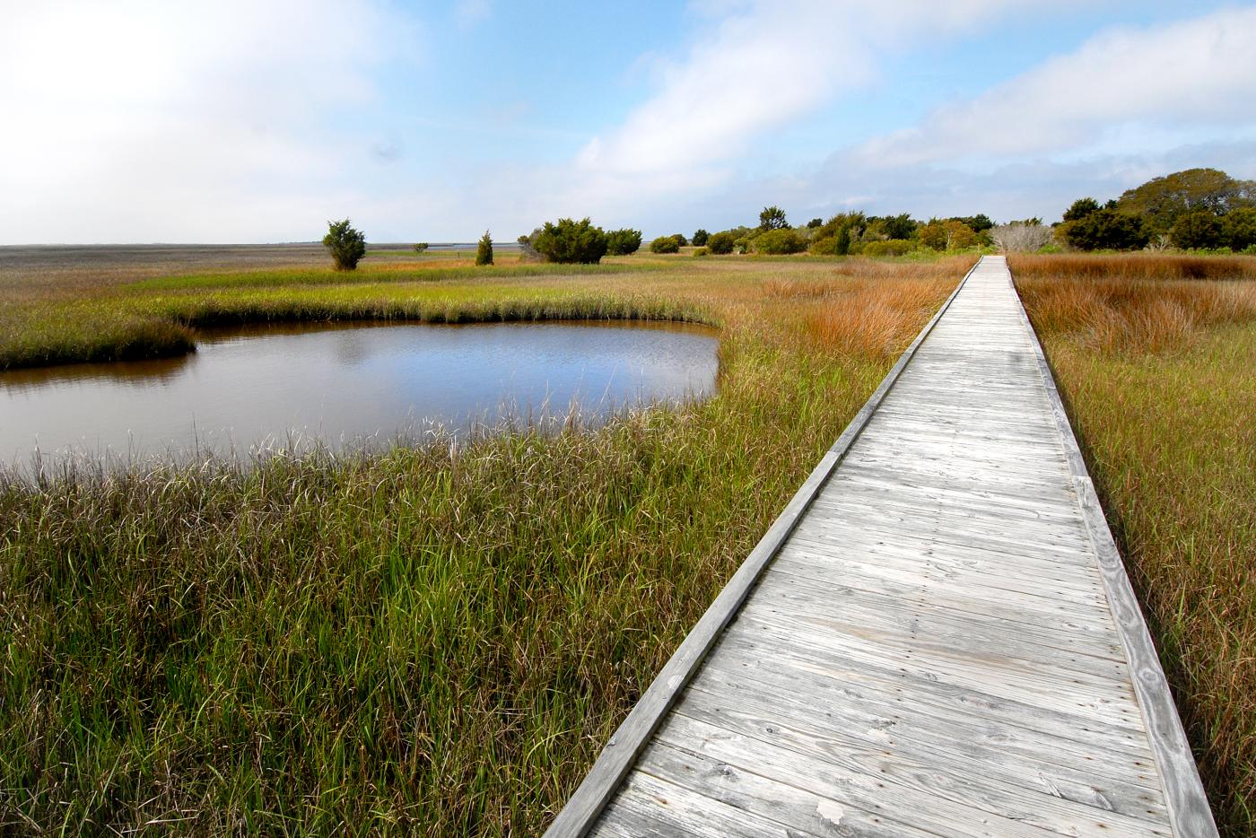Fort Fisher state recreation area