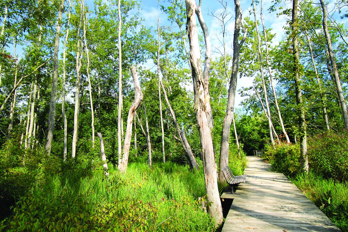 Haw River State Park
