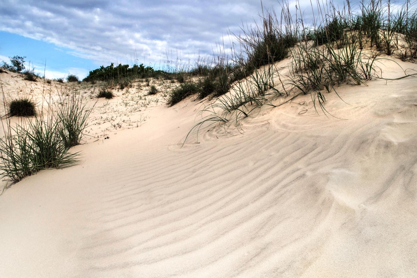 Jockey's Ridge State Park