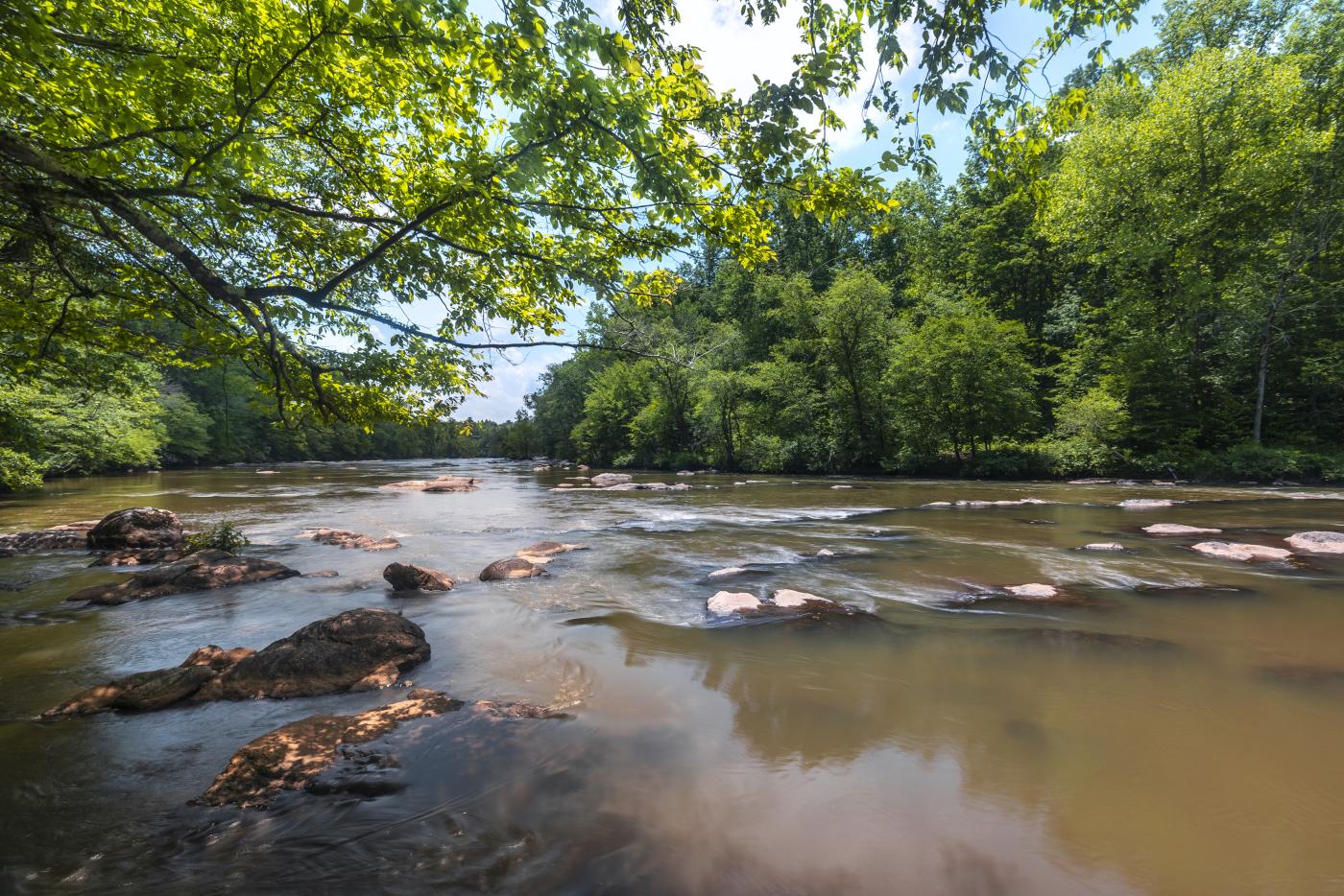 Mayo River state park