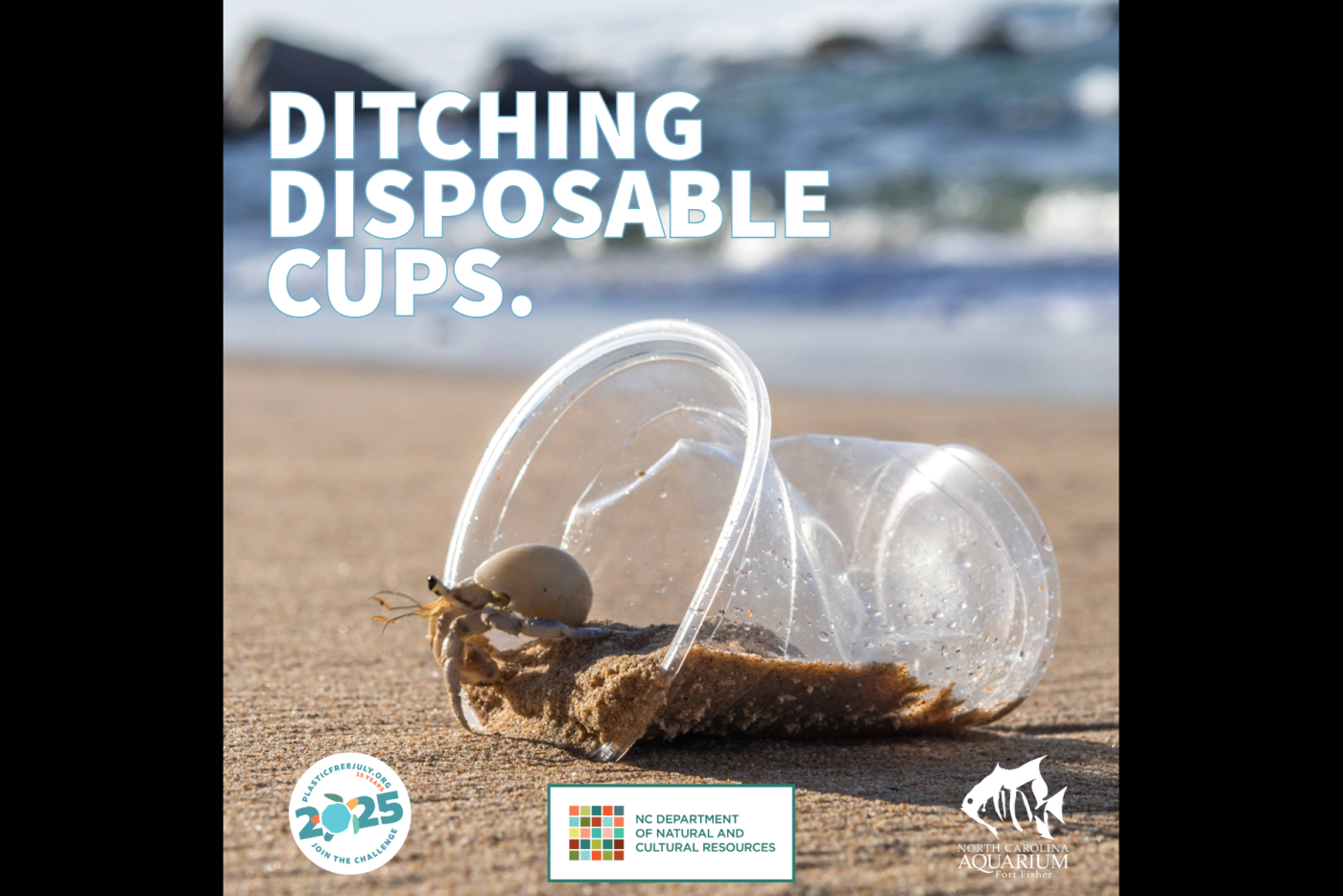 Ditching disposable plastic bottles and cups by carrying a reusable water bottle or even a tumbler for your favorite coffee are two easy green actions to incorporate into your daily routine.